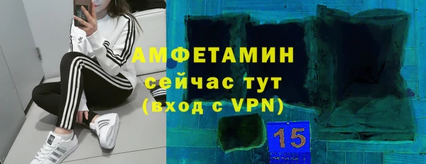 винт Ельня