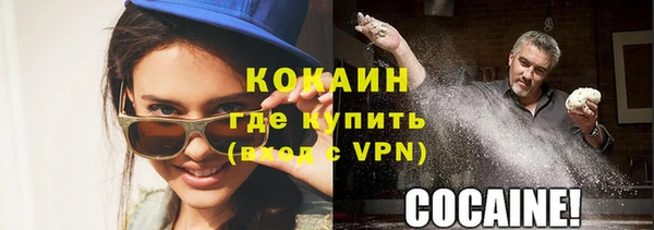 винт Ельня