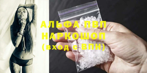 винт Ельня