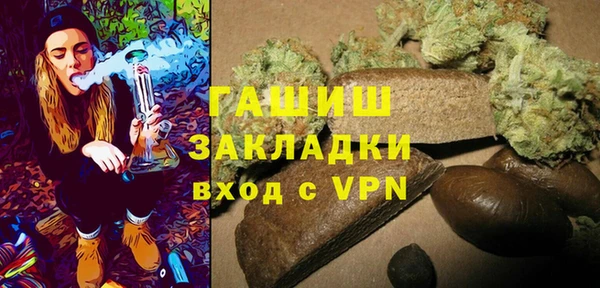 винт Ельня
