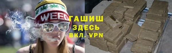 винт Ельня