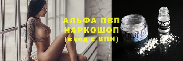 винт Ельня