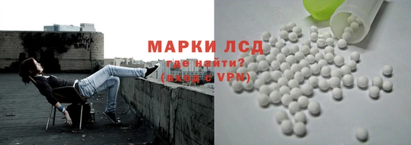винт Ельня