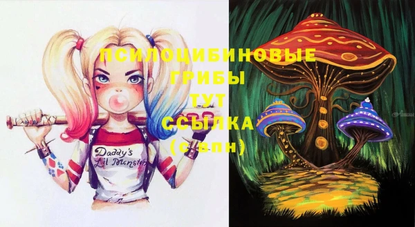 винт Ельня