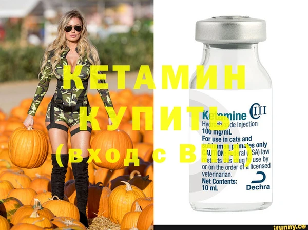 винт Ельня