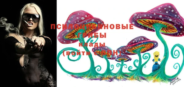 эйфоретик Елабуга