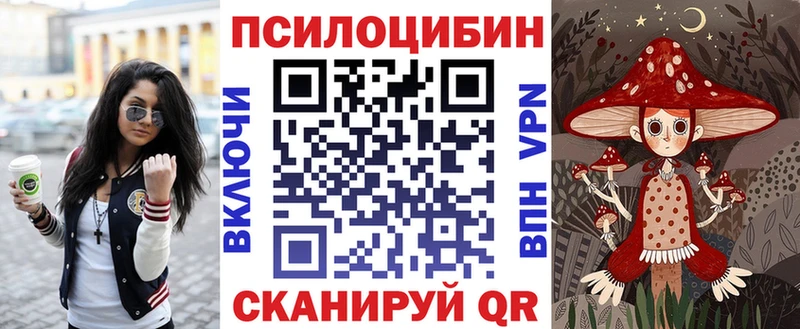 Псилоцибиновые грибы мицелий  маркетплейс состав  Зарайск  MEGA ONION 